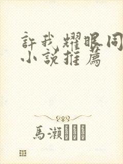 许我耀眼同人文小说推荐