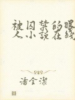 被囚禁的眼盲美人小说在线阅读