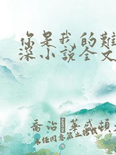 你是我的难得情深小说全文免费阅读