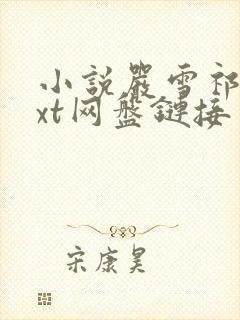 小说严雪祁放txt网盘链接