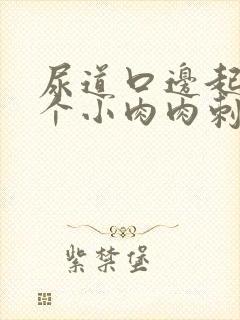 尿道口边起了一个小肉肉刺