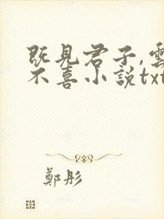 既见君子,云胡不喜小说txt