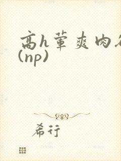 高h荤爽肉欲文(np)