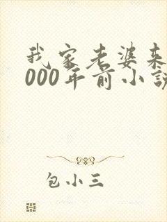 我家老婆来自1000年前小说免费阅读