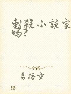 刺杀小说家好看吗?