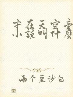 守在天空旁原著小说叫什么名字