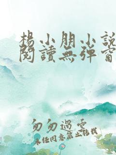 杨小朋小说免费阅读无弹窗