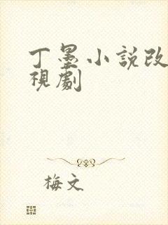 丁墨小说改编电视剧