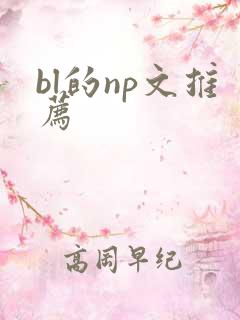 bl的np文推荐