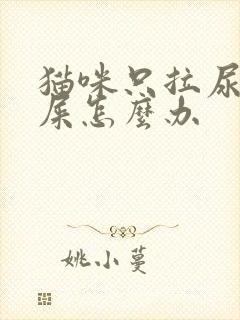 猫咪只拉尿不拉屎怎么办