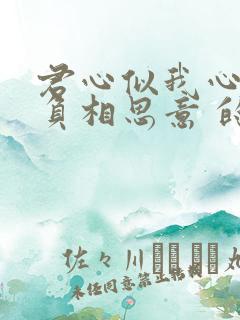 君心似我心定不负相思意 的原文