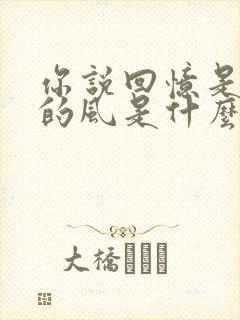 你说回忆是心里的风是什么歌