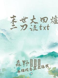 末世大回炉二十二刀流txt