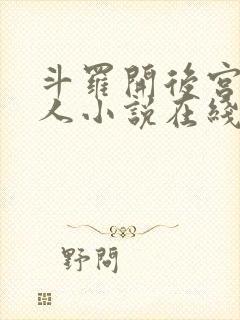 斗罗开后宫的同人小说在线看