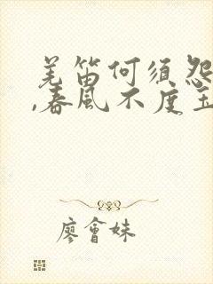 羌笛何须怨杨柳,春风不度玉门关表达的情感