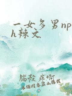 一女多男np高h辣文