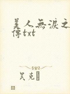 美人无泪之宸妃传txt