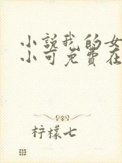 小说我的女儿叫小可免费在线阅读