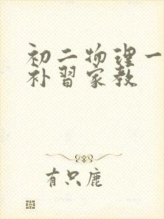 初二物理一对一补习家教