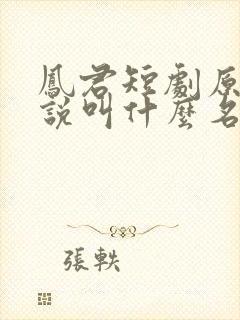 凤君短剧原著小说叫什么名字