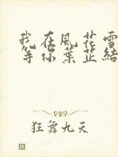 我在风花雪月里等你叶芷结局