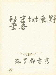 秘密txt东野圭吾