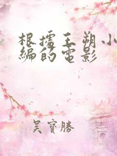 根据王朔小说改编的电影