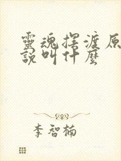 灵魂摆渡原著小说叫什么