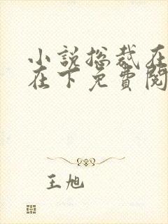 小说总裁在上我在下免费阅读