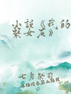 小说《我的养成系女友》