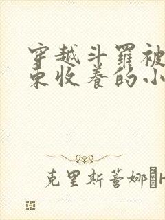 穿越斗罗被比比东收养的小说