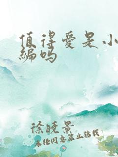 值得爱是小说改编吗