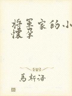 将军家的小娘子怀孕