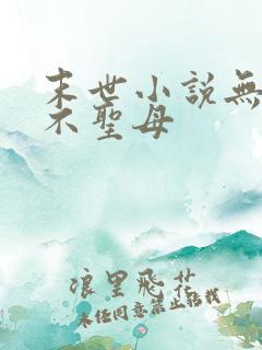 末世小说无女主不圣母