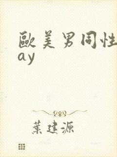 欧美男同性恋gay