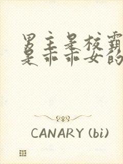 男主是校霸女主是乖乖女的校园宠文