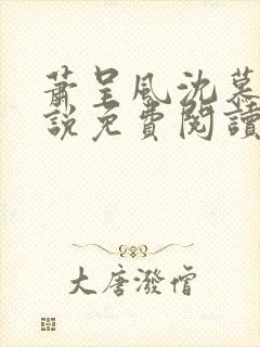 萧呈风沈慕卿小说免费阅读最新章节