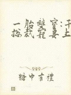 一胎双宝:千亿总裁宠妻上瘾