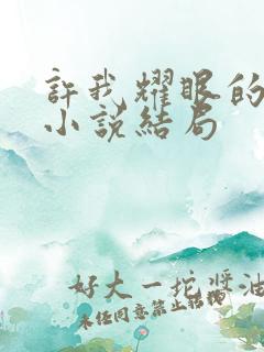 许我耀眼的原著小说结局