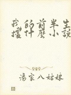 我的前半生是根据什么小说改编的