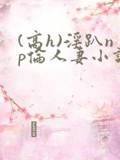 (高h)淫趴np伦人妻小说
