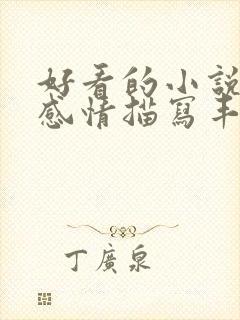 好看的小说后宫感情描写丰富的