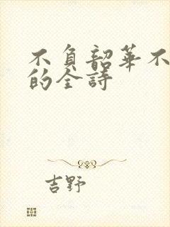 不负韶华不负卿的全诗