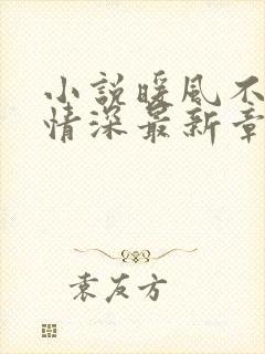 小说暖风不及你情深最新章节阅读季暖墨景深