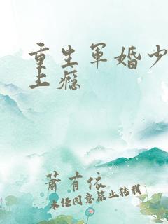 重生军婚少将宠上瘾