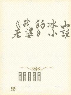 《我的冰山总裁老婆》小说