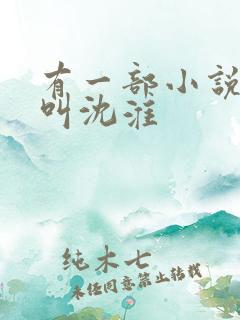 有一部小说主角叫沈淮