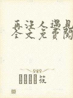 再没人遇见小说全文免费阅读