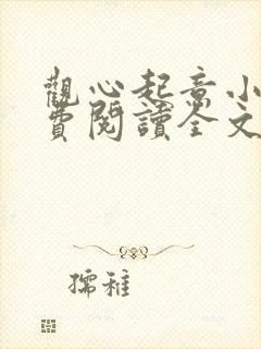 观心起意小说免费阅读全文最新章节