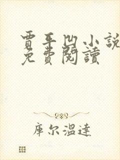 贾平凹小说暂坐免费阅读